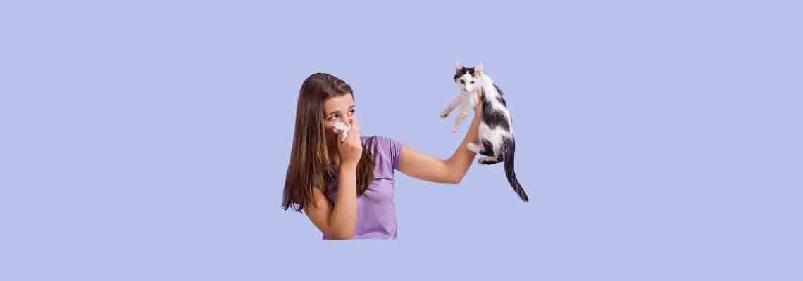 allergies aux poils d'animaux