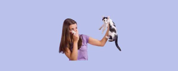 allergies aux poils d'animaux